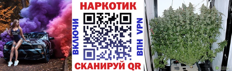 Магазин наркотиков Кириллов Каннабис Alpha-PVP Псилоцибиновые грибы Гашиш