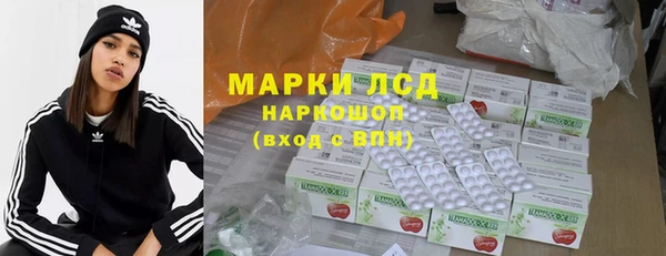 ПСИЛОЦИБИНОВЫЕ ГРИБЫ Богданович