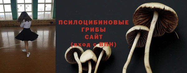 ПСИЛОЦИБИНОВЫЕ ГРИБЫ Богданович