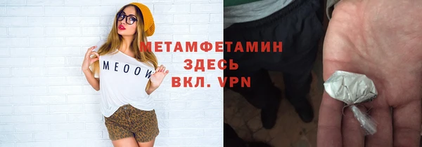 ПСИЛОЦИБИНОВЫЕ ГРИБЫ Богданович