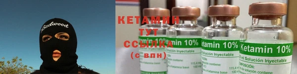 ПСИЛОЦИБИНОВЫЕ ГРИБЫ Богданович