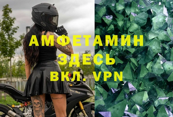 ПСИЛОЦИБИНОВЫЕ ГРИБЫ Бородино