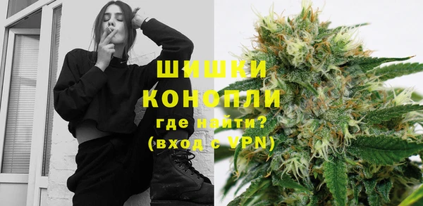 ПСИЛОЦИБИНОВЫЕ ГРИБЫ Богданович