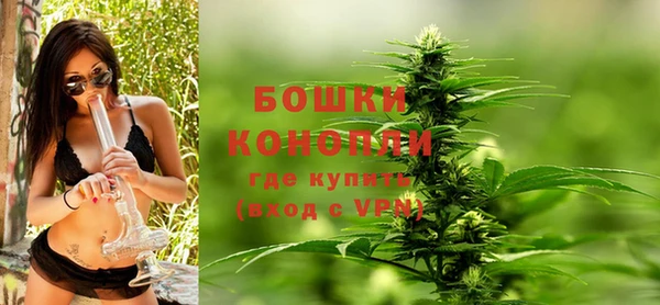 ПСИЛОЦИБИНОВЫЕ ГРИБЫ Бородино