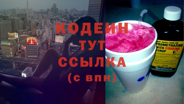 ПСИЛОЦИБИНОВЫЕ ГРИБЫ Богданович