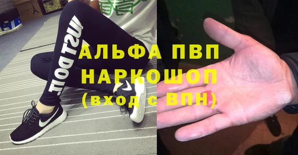 ПСИЛОЦИБИНОВЫЕ ГРИБЫ Богданович